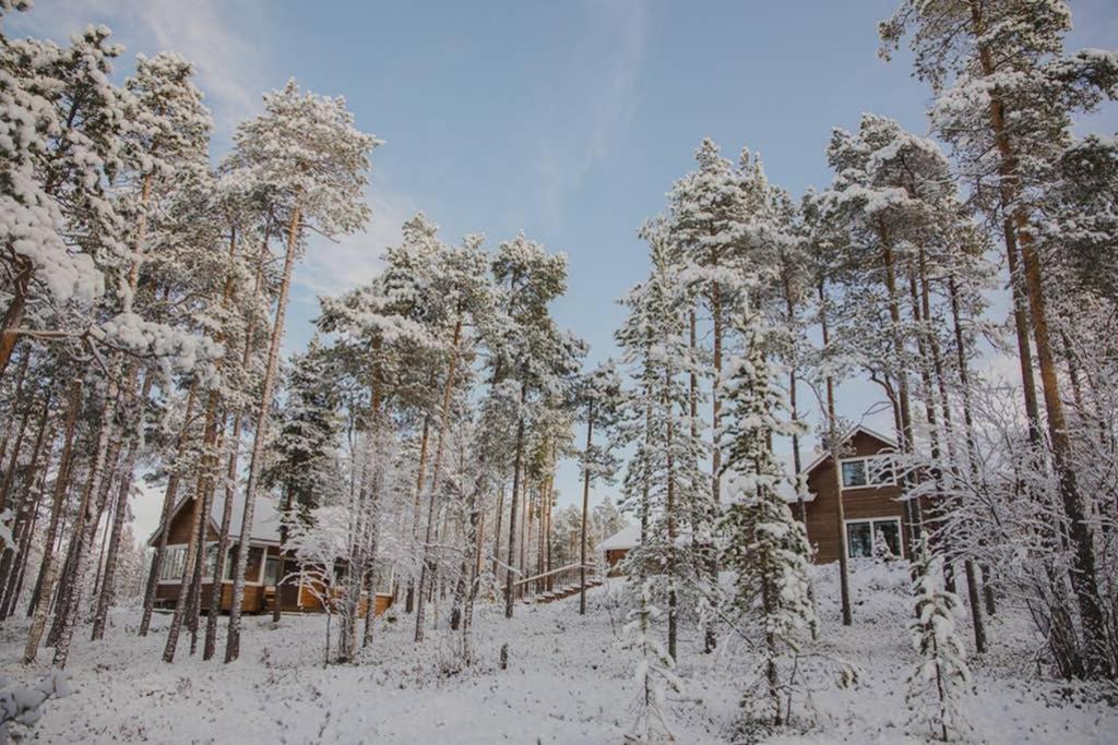 Autumn Leaf Ivalo Villa Exterior photo